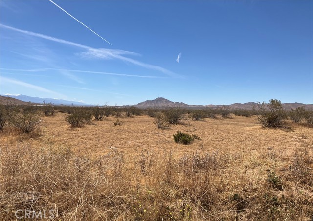 Front Image Thumbnail for CRIV26086311