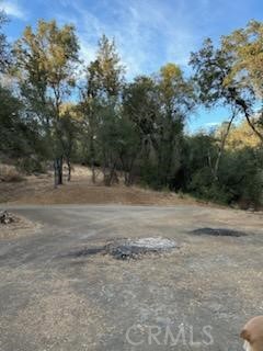 4116 Silver Bar Rd., Mariposa, California 95338, 2 Bedrooms Bedrooms, ,1 BathroomBathrooms,Single Family Residence,For Sale,Silver Bar Rd.,MP24194213