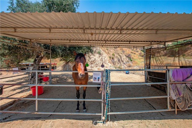 3597 Shaw Ranch Road, Pasadena CA: https://media.crmls.org/medias/91c1f693-3920-40e9-8c13-e68ef78e0deb.jpg