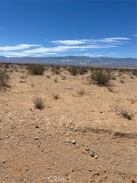 Front Image Thumbnail for CRCV26038103