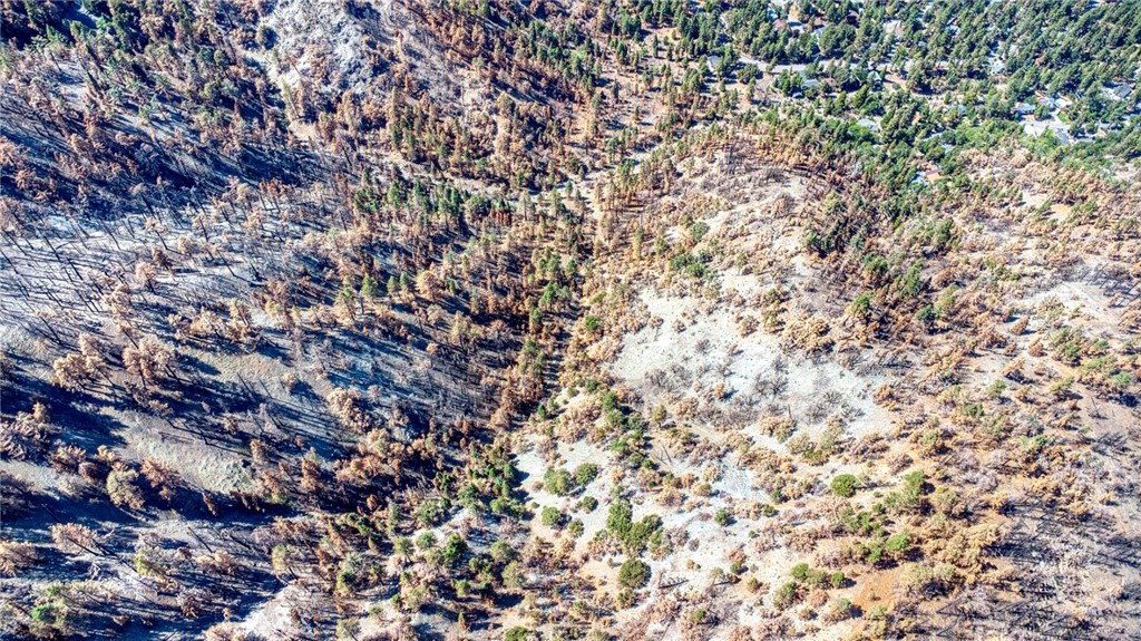 MLS #HD25219031 image #10