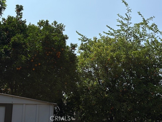 https://media.crmls.org/medias/91d82181-1135-48ff-bb22-0560a39f2ee1.jpg?preset=X-Large