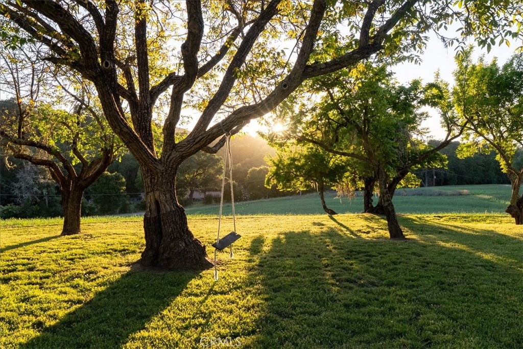 https://media.crmls.org/medias/91da16e5-0c0d-4eb9-b0c2-ce3439ac6c21.jpg?preset=X-Large