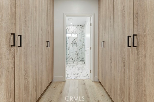 6206 Camellia photo 17