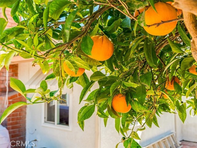5435 Del Norte Way, Santa Maria CA: https://media.crmls.org/medias/91df928a-1e19-4b80-a1ec-2b6fc94ac9c3.jpg