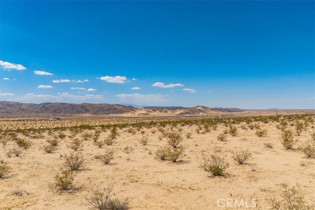 MLS #JT25263725 image #9