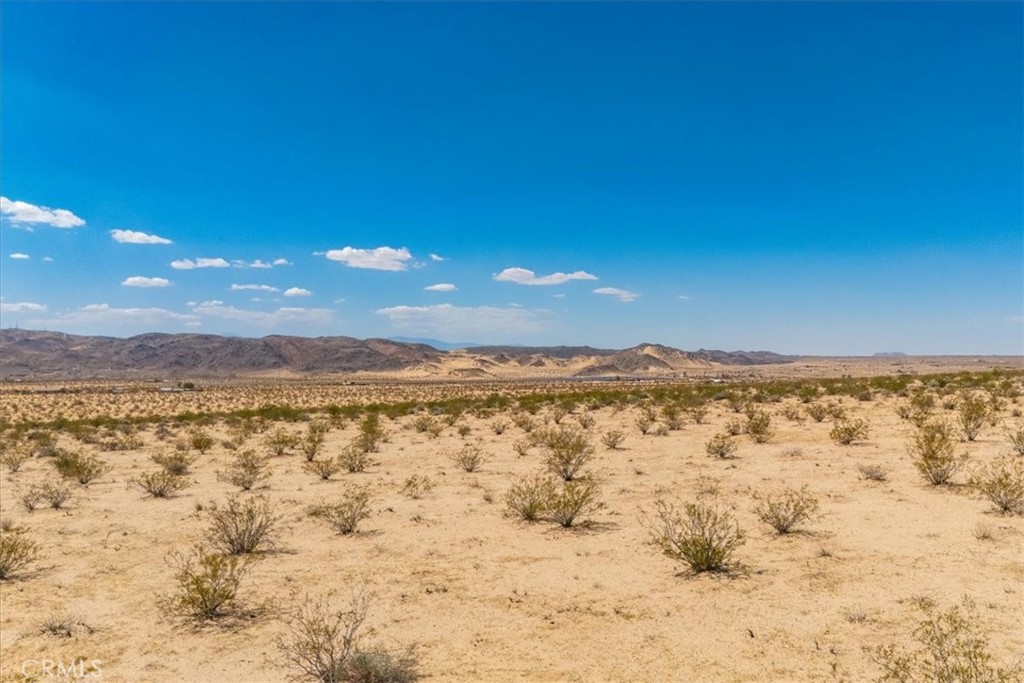 MLS #JT25263725 image #9