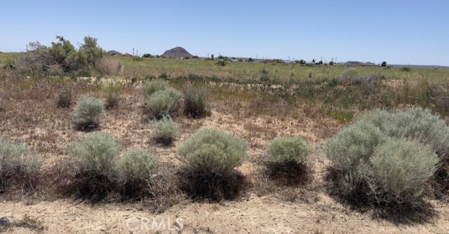 0 South Loop, California City CA: https://media.crmls.org/medias/91e468d9-5714-47af-a2bd-b29a1c499274.jpg
