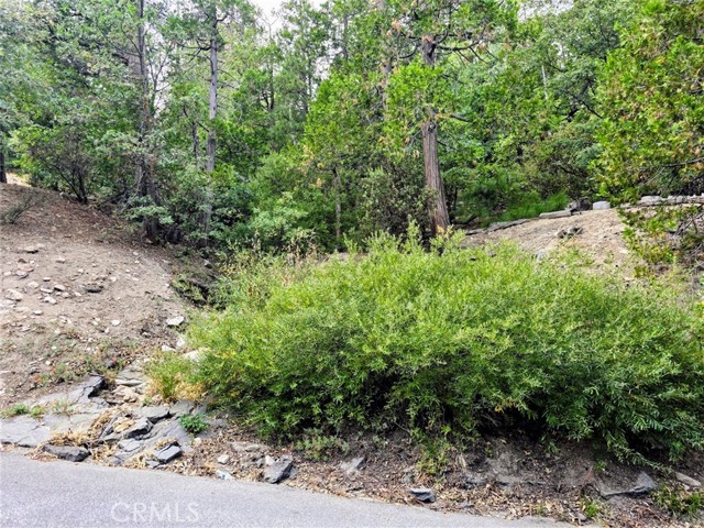 Detail Gallery Image 1 of 5 For 0 Zurich Dr, Lake Arrowhead,  CA 92352 - – Beds | – Baths