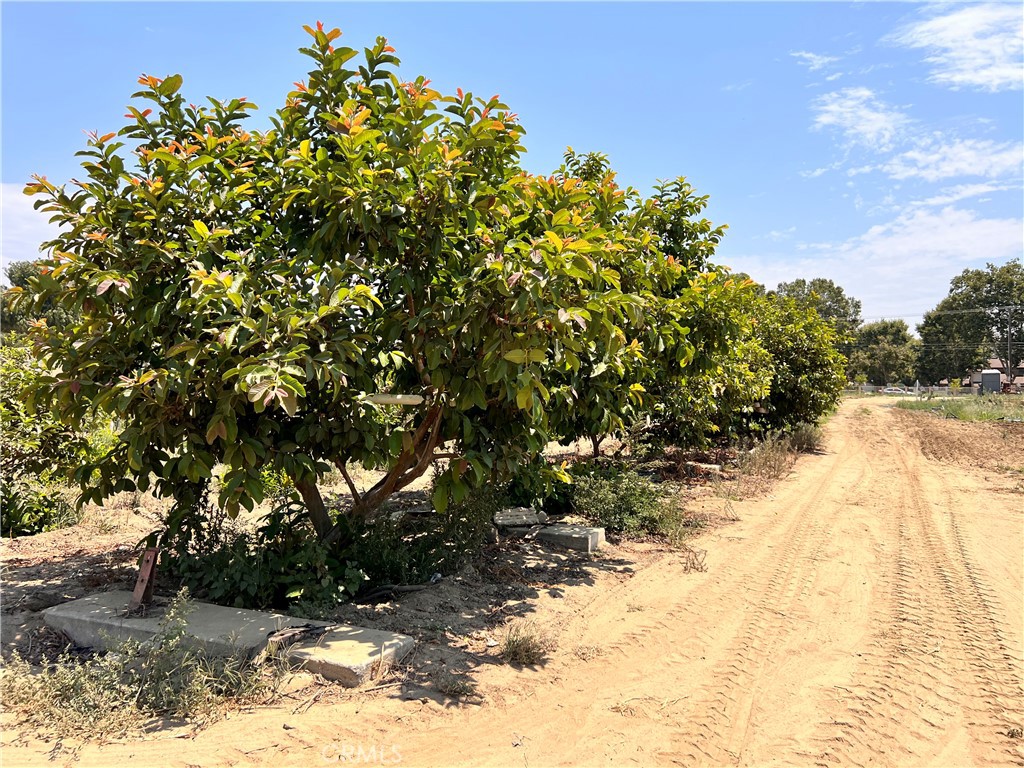 MLS #OC23188579 img 4