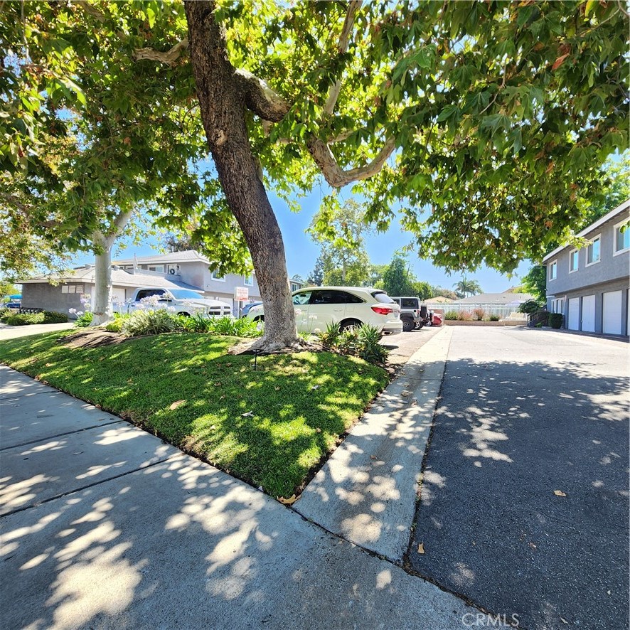 2133 N Orange Olive Road #11