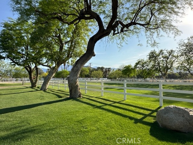 MLS #JT25114859 image #3