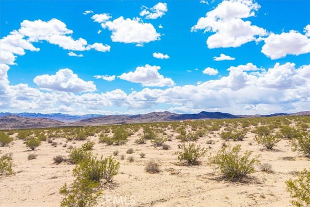 Detail Gallery Image 19 of 26 For 62 Lucille Ln, Joshua Tree,  CA 92252 - – Beds | – Baths