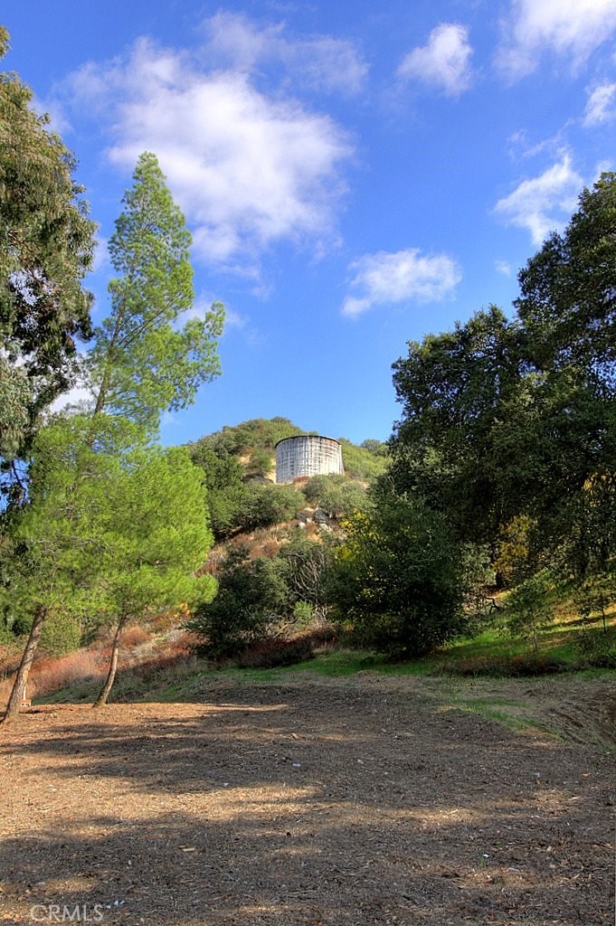 MLS #IG25034144 img 42