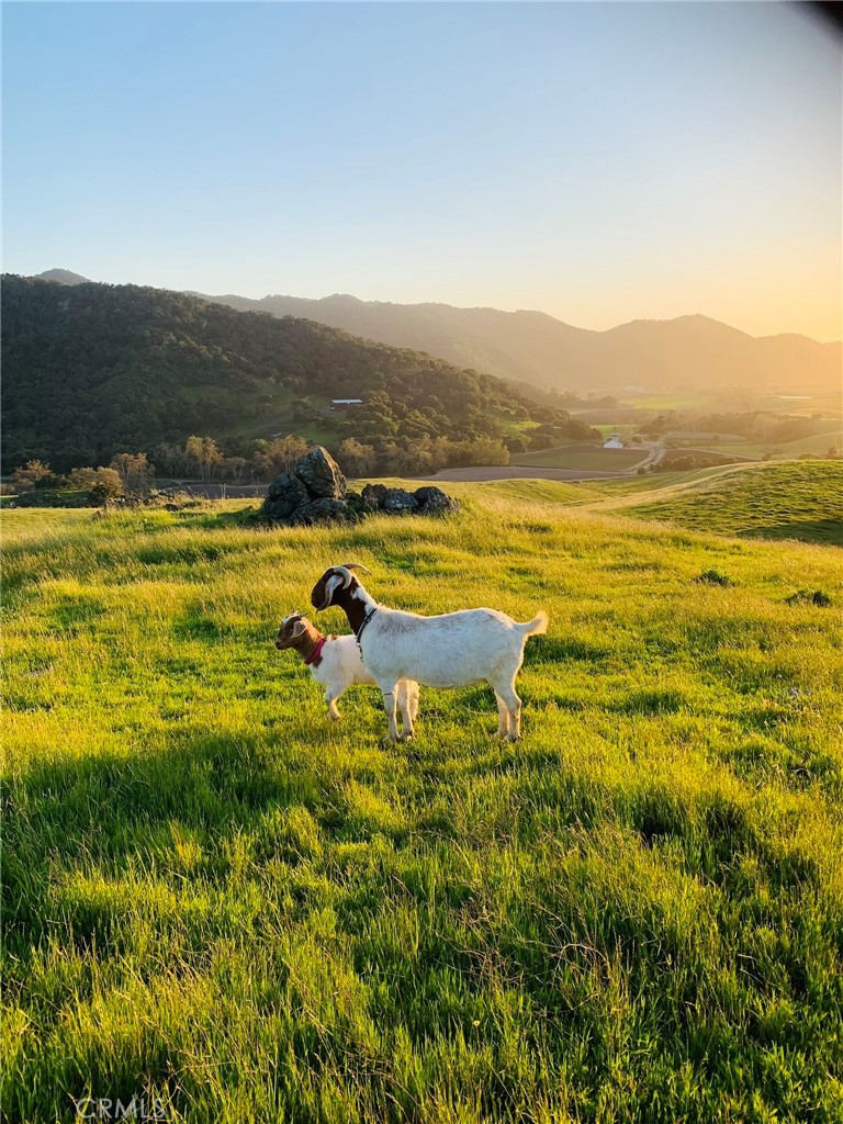 https://media.crmls.org/medias/91f44865-1715-42d6-ac9e-c48f43fd04ae.jpg?preset=X-Large
