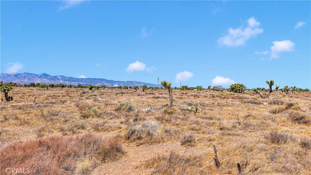 MLS #CV25127599 img 12