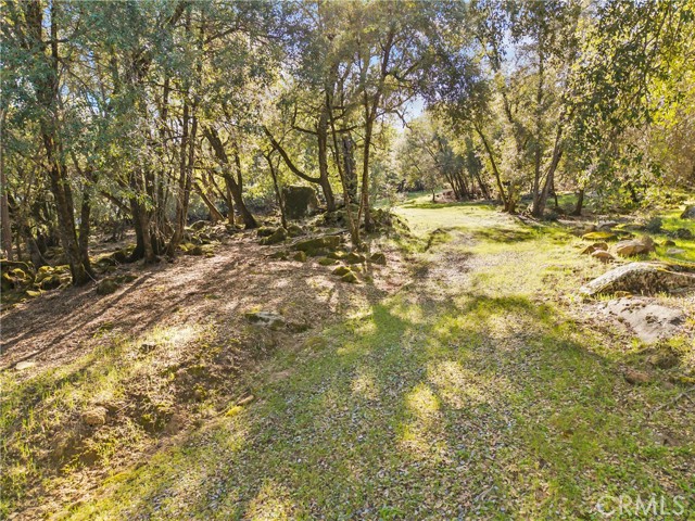 Detail Gallery Image 22 of 32 For 1371 Moccasin Trl, Placerville,  CA 95667 - – Beds | – Baths