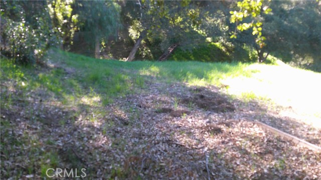 Detail Gallery Image 12 of 18 For 4214 Elzevir Rd, Woodland Hills,  CA 91364 - – Beds | – Baths