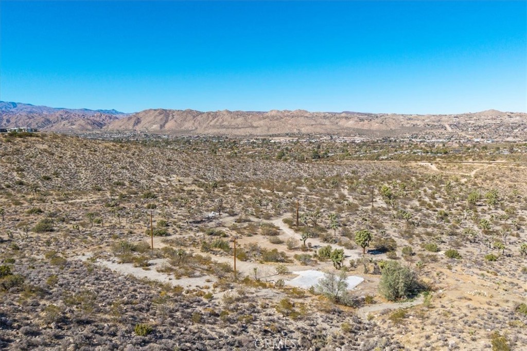 MLS #JT25259485 image #6