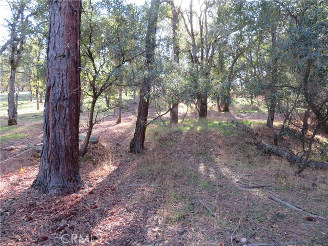 Detail Gallery Image 8 of 33 For 3465 Foothill Bld, Oroville,  CA 95966 - – Beds | – Baths