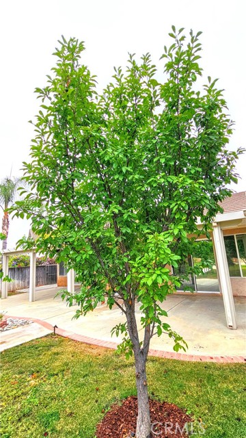 821 Atlantic Circle, Corona CA: https://media.crmls.org/medias/9202d111-0e4e-4905-9802-315e26a26e37.jpg