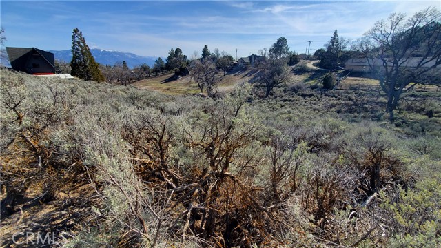 25041 Jacaranda Drive, Tehachapi, California 93561, ,Land,For Sale,25041 Jacaranda Drive,CRSR23210317