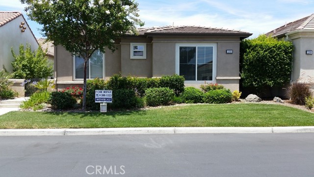 Front Image Thumbnail for CROC25249036