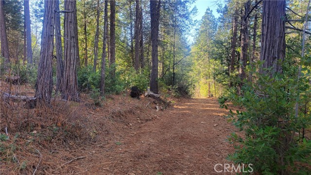 1 Coutolenc Road, Magalia, California 95954, ,Land,For Sale,1 Coutolenc Road,CRSN23217034