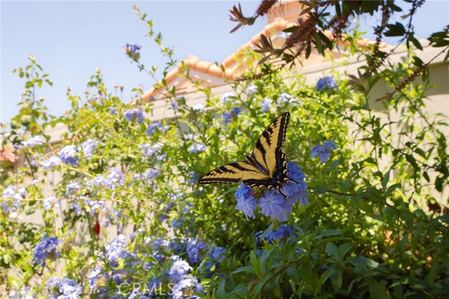 Detail Gallery Image 32 of 32 For 28109 Lemonwood Dr, Menifee,  CA 92584 - 3 Beds | 2 Baths