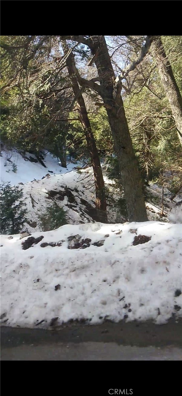 0 Saxon, Crestline CA: https://media.crmls.org/medias/9216f737-865a-4859-908c-052dbc4717fb.jpg