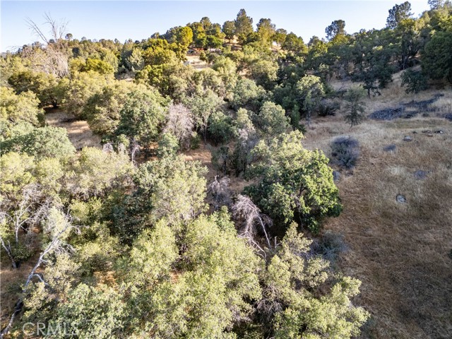 Detail Gallery Image 9 of 15 For 5021 W Whitlock Rd, Mariposa,  CA 95338 - – Beds | – Baths