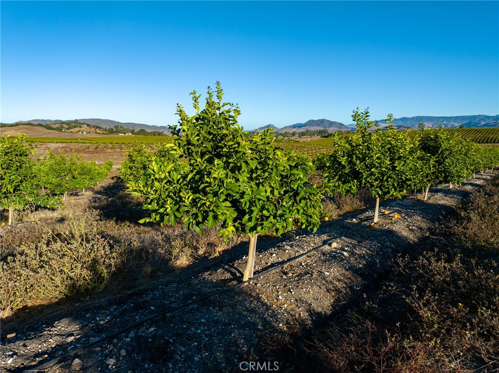 MLS #NS25173494 image #61