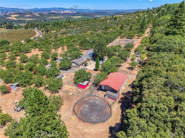 8700 Red Hills Road, Kelseyville CA: https://media.crmls.org/medias/921f4dce-79c0-4943-9704-e0fee4e62945.jpg