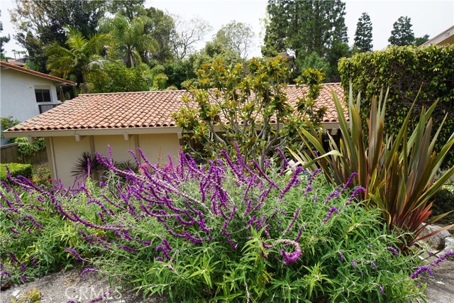 Front landscaping, auto sprinklers.