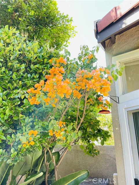267 Stanford Court, Irvine CA: https://media.crmls.org/medias/92265e87-aca7-4549-acf7-e71fd0cbd891.jpg