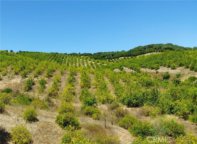 5 De Anza Road, Temecula CA: https://media.crmls.org/medias/9229fd0b-eebc-4110-9e5f-5d9649c4b150.jpg