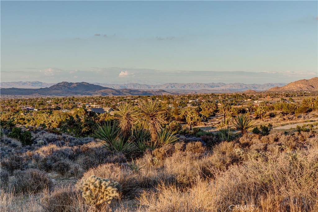 MLS #JT25229239 image #38