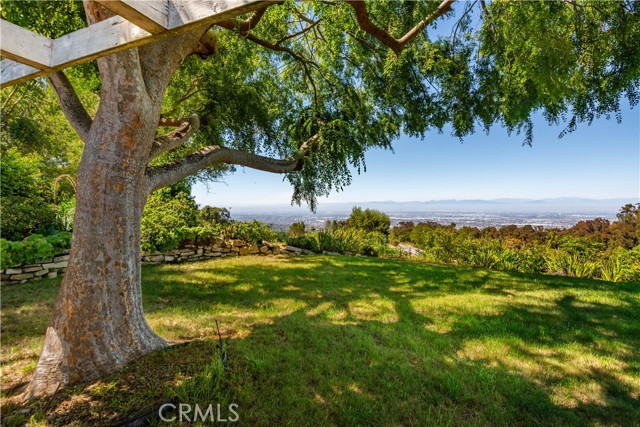 3 Spur Lane, Rolling Hills, California 90274, 4 Bedrooms Bedrooms, ,2 BathroomsBathrooms,Residential,For Sale,Spur,PV24125036