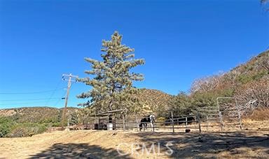 Detail Gallery Image 51 of 51 For 42930 Lake Hughes Rd, Lake Hughes,  CA 93532 - 6 Beds | 4 Baths