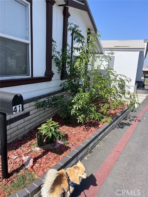 21210 E Arrow Highway, Covina CA: https://media.crmls.org/medias/923150f3-e123-481b-ba9e-02c709d4f6b6.jpg