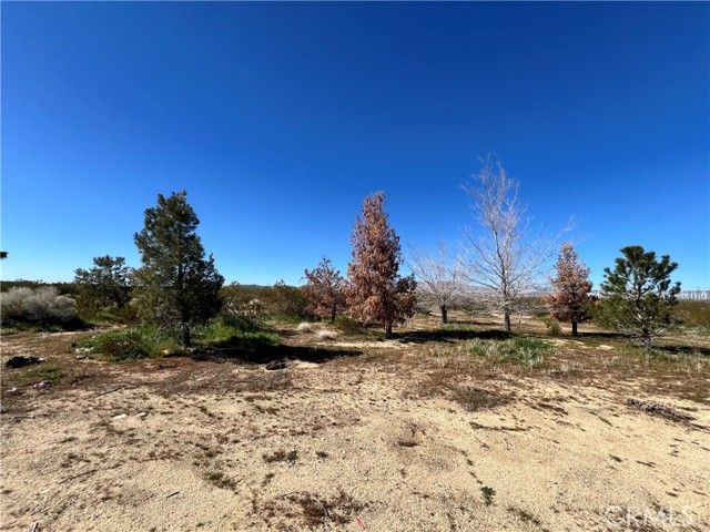 Detail Gallery Image 2 of 16 For 10376 55th St, Mojave,  CA 93501 - – Beds | – Baths