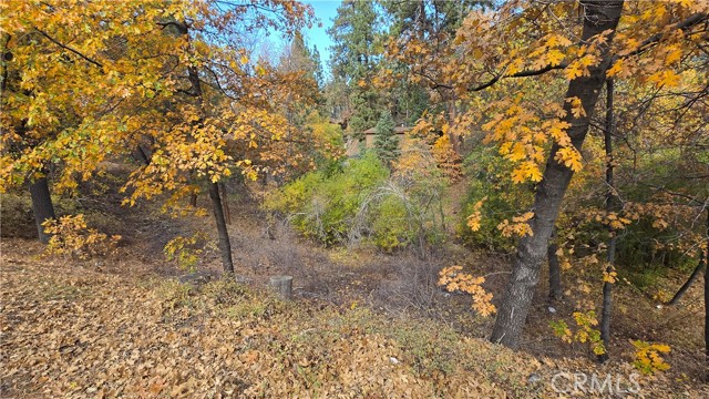 Detail Gallery Image 7 of 19 For 1000 Butte Ave, –,  CA 92314 - – Beds | – Baths