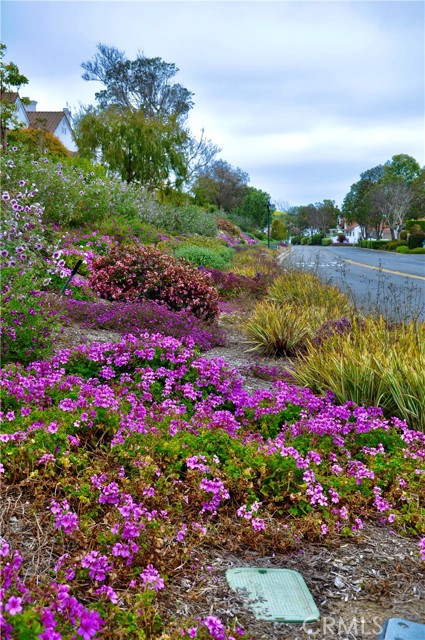 Stunning landscaping throughout the community