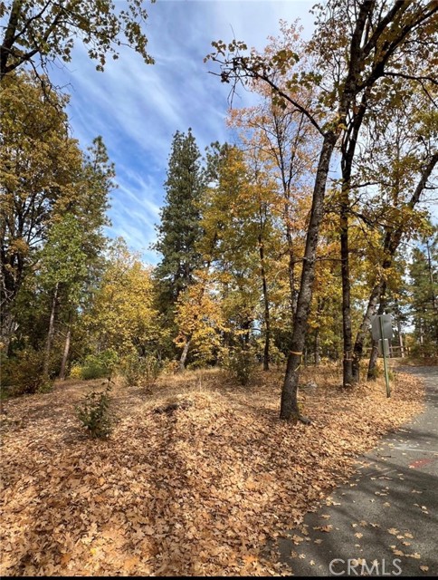 Front Image Thumbnail for CRFR26013408