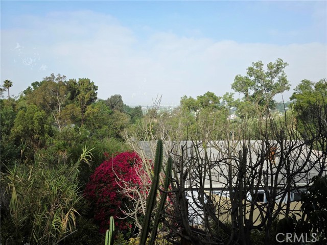1403 Avon Park, Los Angeles CA: https://media.crmls.org/medias/925ad1e4-2e50-4ef8-8d4c-aab346f7b864.jpg