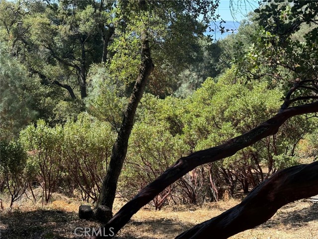 Detail Gallery Image 9 of 16 For 3293 Clay St, Nice,  CA 95464 - – Beds | – Baths