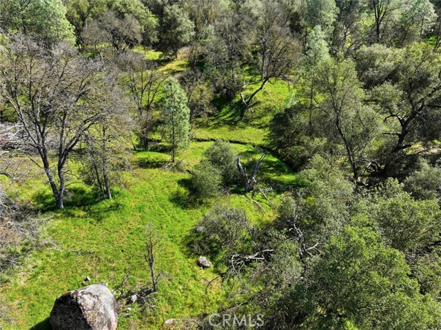 Detail Gallery Image 27 of 34 For 4251 Burl, Mariposa,  CA 95338 - – Beds | – Baths