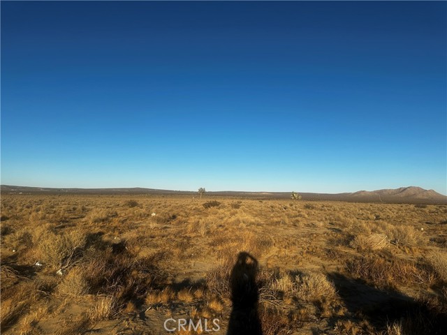 Front Image Thumbnail for CRSR25251771