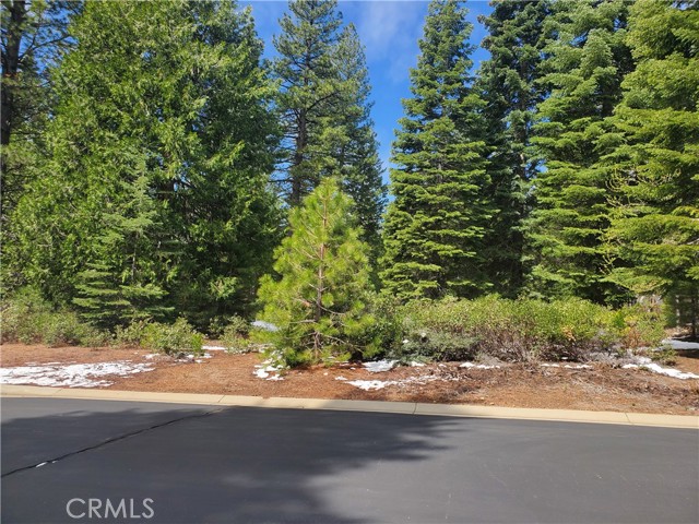 Detail Gallery Image 2 of 7 For 118 Fox Pine Dr, Lake Almanor,  CA 96137 - – Beds | – Baths
