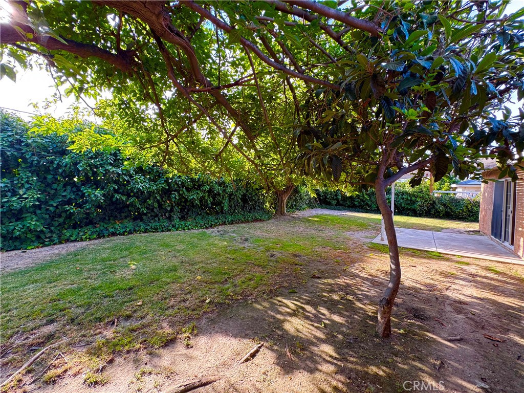 MLS #SR25175669 img 4